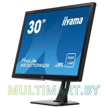 Монитор Iiyama ProLite XB3070WQS-B1 картинка 2